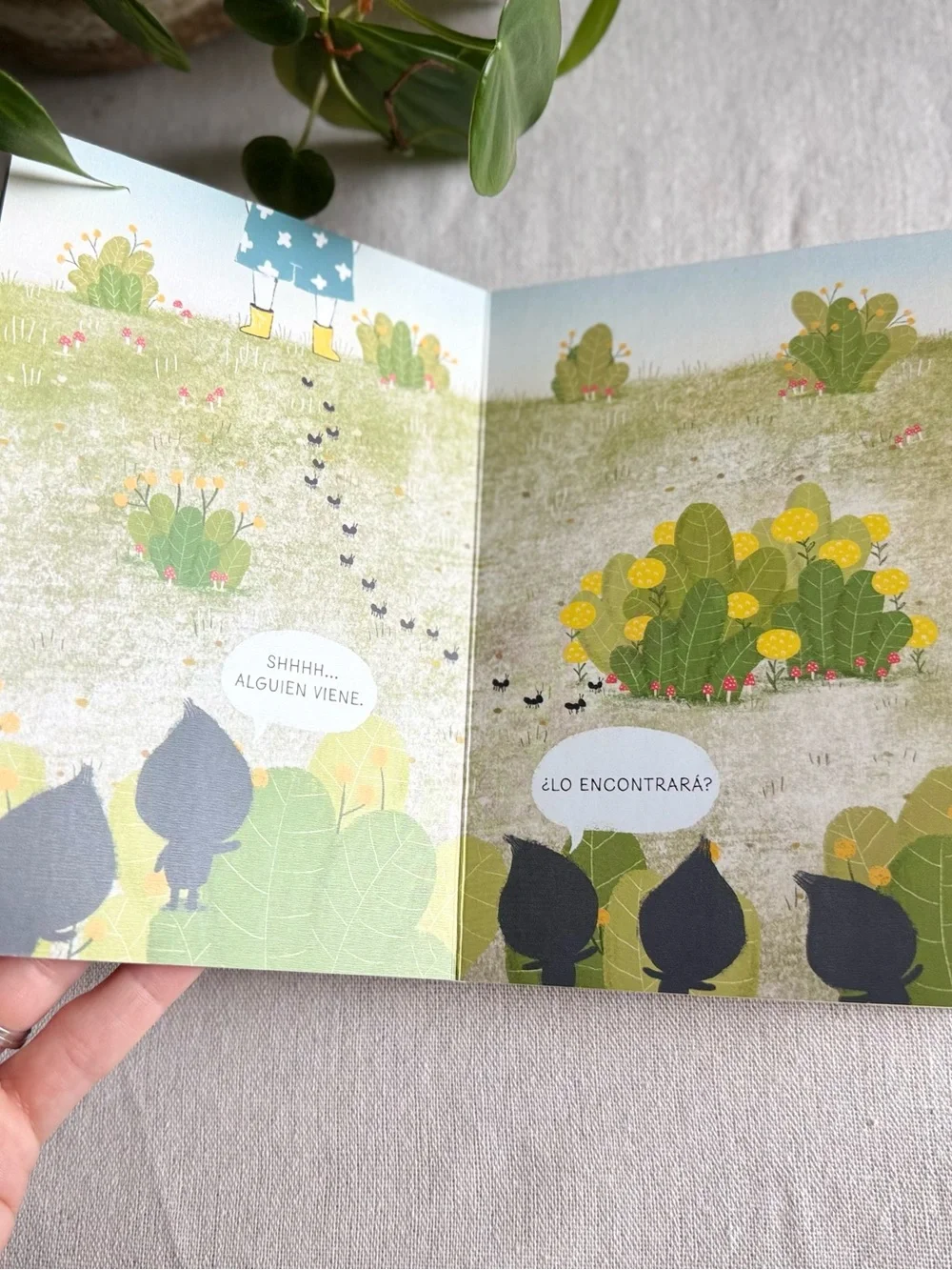 Un Tesoro Kids Board Book - Green
